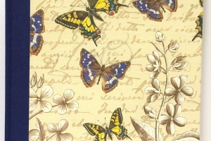 Tagebuch Schmetterlinge